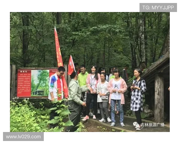 森林球迷见义勇为受伤错过航班 航空公司拒绝退费引争议 森林球迷见义勇为受伤错过航班 航空公司拒绝退费引争议